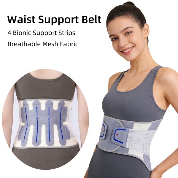 Breathable Mesh Waist Support Belt With 4 Bionic Strips For T12-L5 Lumbar Pain Relief