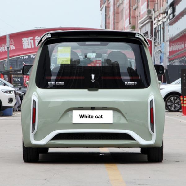 Pure Electric 48 Horsepower ORA White Cat 305km Range 4-Seater Hatchback Energy Vehicle 0km Used Mini Electric Car Adult