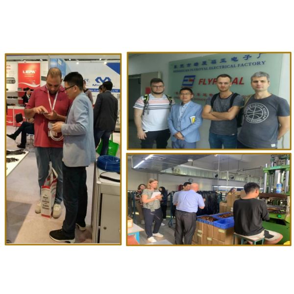 Custom Wire Harness Cable Assembly with RoHS CE REACH Certification for Electronic Applications