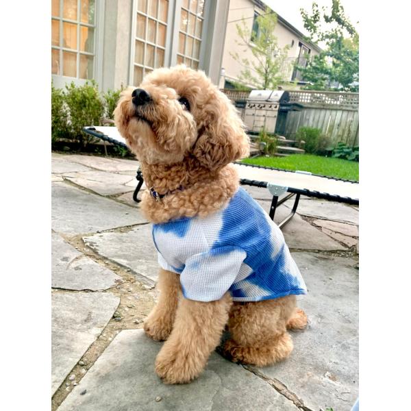 Blue And White Tie Dye pet and owner outfits breathable zoopollo