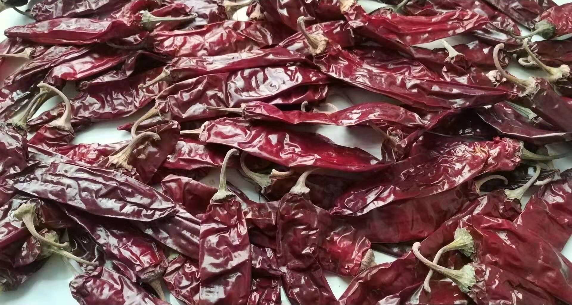 Порошок чилей HACCP порошка Chili слабый 60 ASTA Jinta Chaotian красный