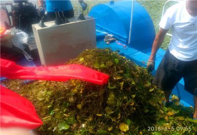 Barco de Hyacinth Aquatic Weed Harvester Cleaning da água da planta do rio para a venda