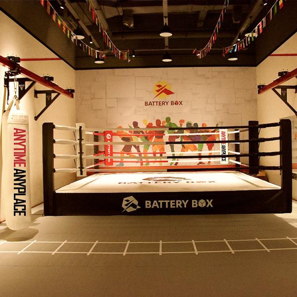 5x5m Wrestling Boxing Ring International Standard Competition Boxing Ring For Events