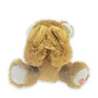 Jetez un coup d'oeil un animal de Boo Educational Plush Toys Stuffed avec l'enregistrement 20cm de voix 7.87in