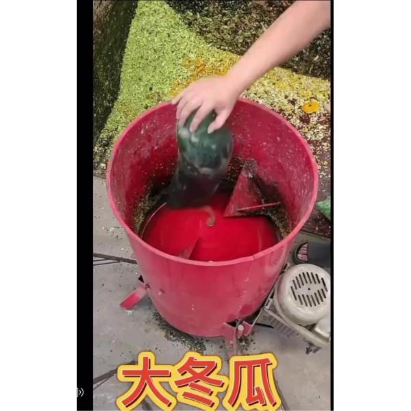 Fruit And Vegetable 2200w Ginger Crusher Machine 400kg/Hour