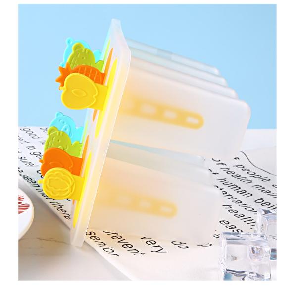 Colourful Sorbet Popsicle Ice Cream Freezer Box Homemade