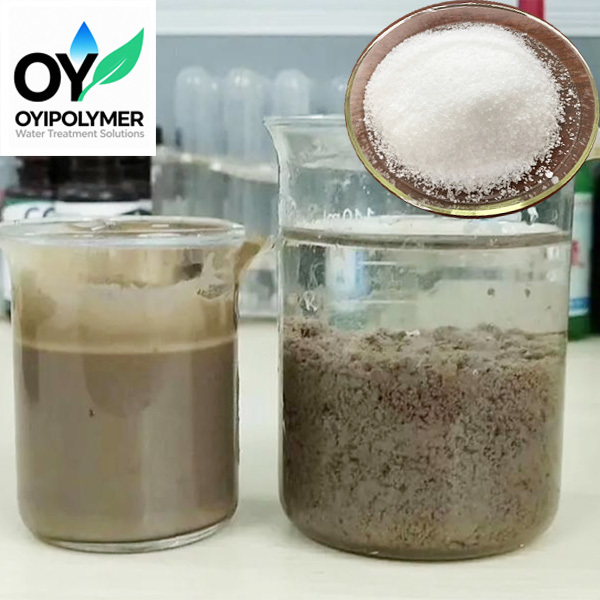 Flocculant Polymer Powder Anionic Polyacrylamide Raw Water Treatment Chemicals