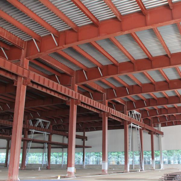 High Strength Prefabricated Steel Building Structure Large Load Architecture Steel Structure