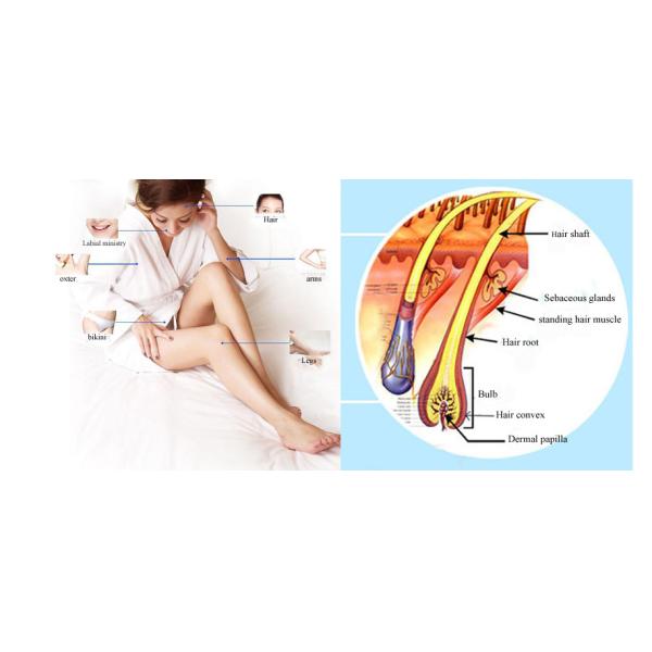 Hair Remove IPL Laser Machine