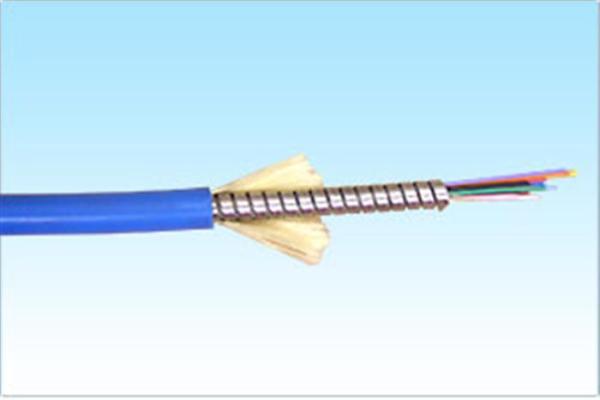 Flexible Armoured Blue 6mm (12core) Diameter Singlemode Optical Fiber Patch Cord Gray