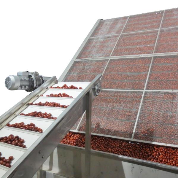 Uniform Hot Air Dehydration Jujube Belt Dryer Machine ODM Space Saving