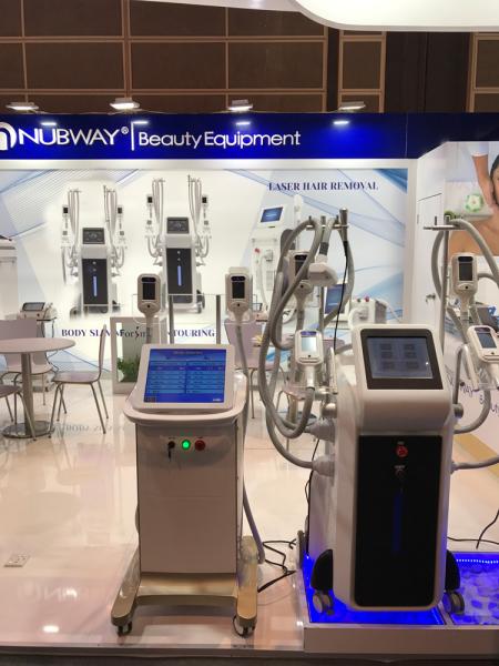 accurate time temperature and vacuum control 4 head coolplas cryolipolysis machine