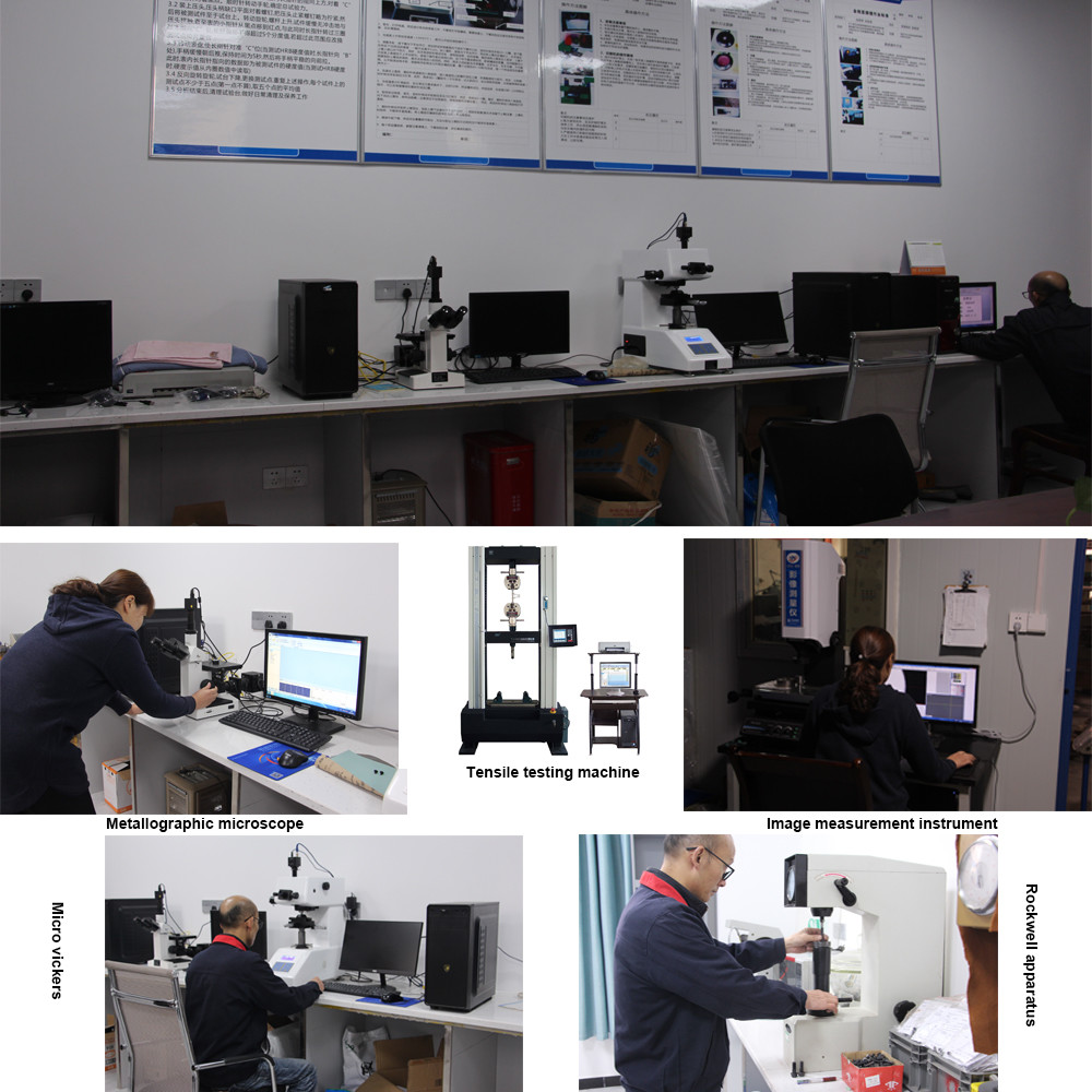 Chongqing Wangluling Technology Co., Ltd.