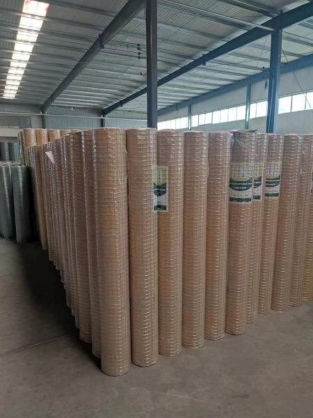 Uk Market 1.3mm Electro Galvanized Iron Wire Mesh 1/2x1 1x1 Aperture Cage Welded Wire Mesh Roll For Poultry Product
