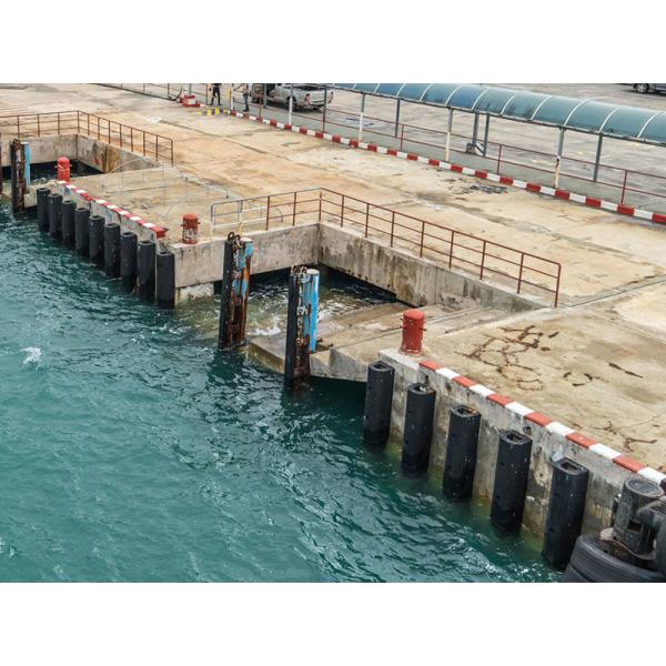 Boat D Type Fenders Marine Rubber Fender For Dock Steel Structure
