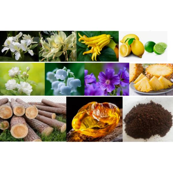 High Quality Ginger Flower Essence For Diffuser Reed Sticks Free Samples