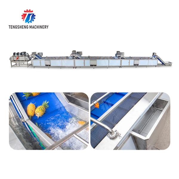 Pineapple bubble washing and vibrating air-drying line Fruit Vegetable FOOD processing production Machine