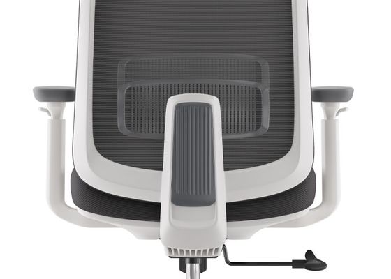Otto Task Chair with Lumbar Support Adjustable Headrest and Armrests for Ergonomic Office Comfort