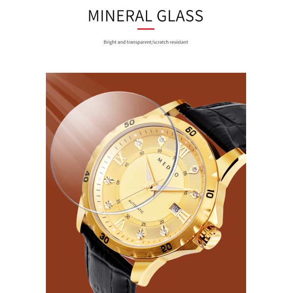 SHX Men's Automatic Diving Watch