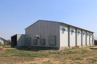 La maison de poulet en acier préfabriqué Q355B tube de cuve et section H