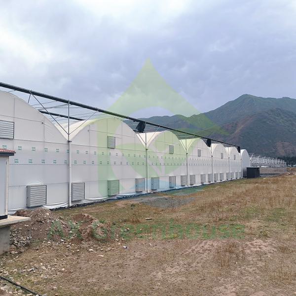 Tropical Multi Span Strawberry Agricultural Poly Tunnel Greenhouse With Shade Net