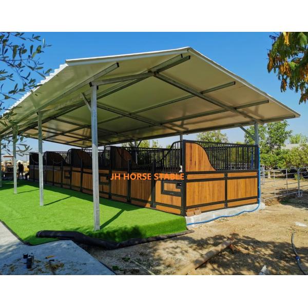 Наборы Infilled сосна или бамбук коробки роскошной портативной лошади стабилизированные