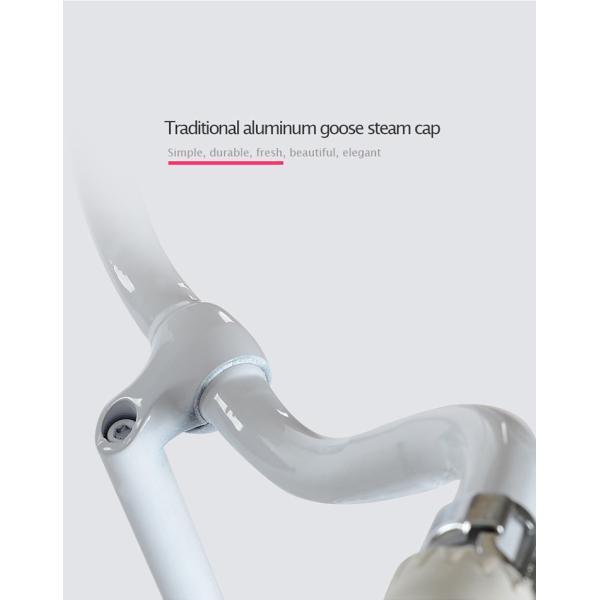 Matériau de cadre en acier au carbone Vélo pour enfants Vélo de ville de 20 pouces 24 pouces pour femme Vélo pour enfants personnalisé Vélo de loisirs rétro OEM