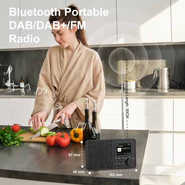 TFT Display DAB FM Rádio Portátil Doméstico DAB FM Rádio Internet Baixo Ruído