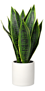 Spinulosa Fern Plants Bushes Fake Shrubs Greenery Plants Faux Fern Snakewood Outdoors UV Resistant Garden Plants