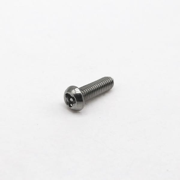 Industrial Custom Anti Theft Screw Stainless Steel Safety Fasteners