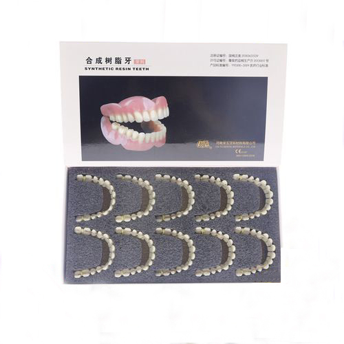 High Wear Resistance Acrylic Resin Artificial Dentition Composite VITA System