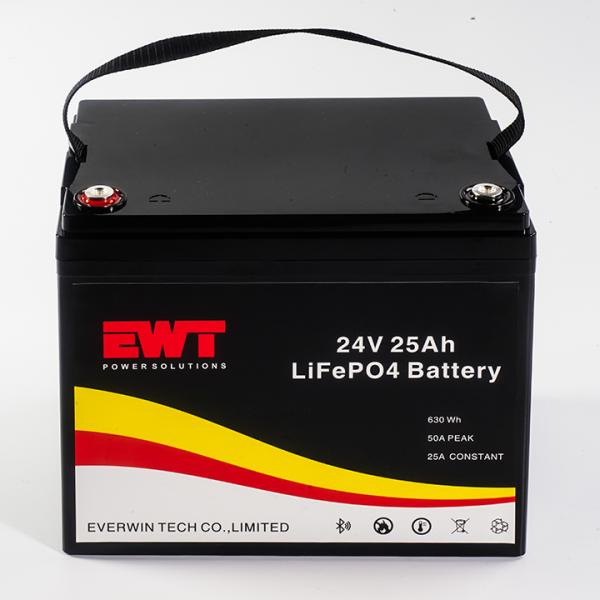 24В Lifeo4 перезаряжаемая батарея