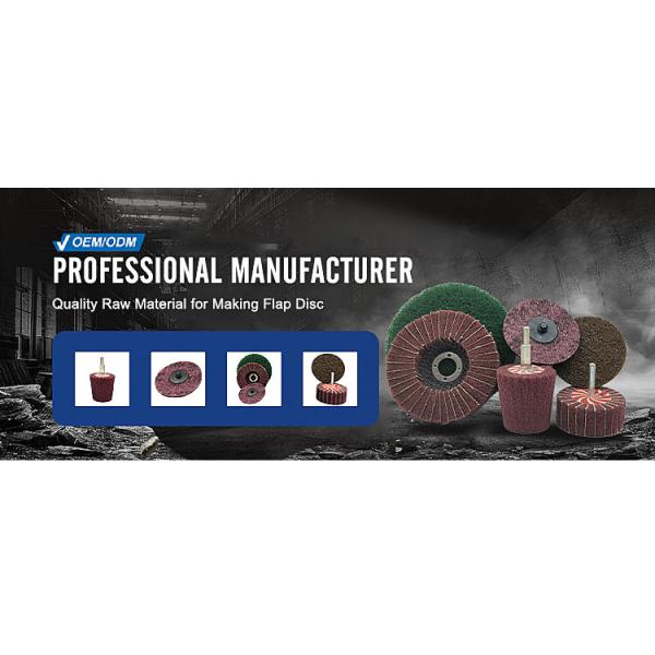 Customized Support OBM 3 Inch Flat Joint Surface Conditioning Abrasive Disc for CRS Grade