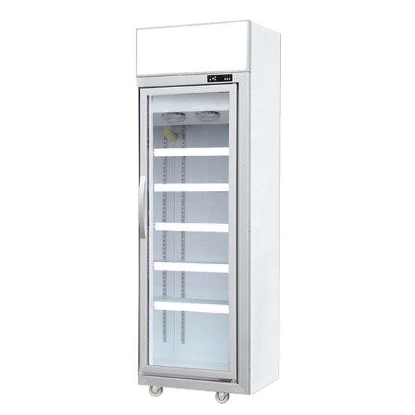 Commercial Glass Door Display Freezer with R290 Refrigerant LED Lighting and Auto Spring Back Door