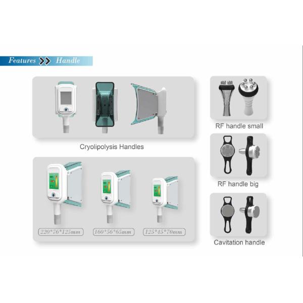 perfect cooling 5 handles cryolipolysis machine for sale/cryolipolysis shaping machine