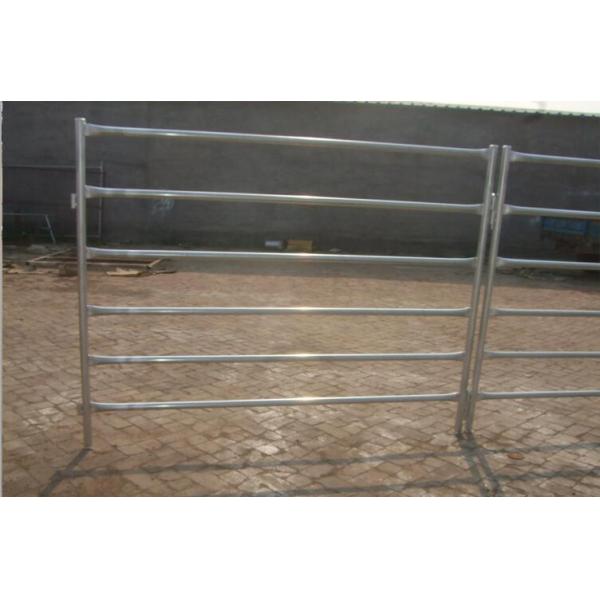 Livestock panels / Cattle panels 1.6m x 2.1m hot dipped galvanized aus standard