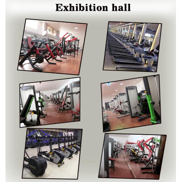 Steel Powder Coating Full Gym Equipment Kettlebell Rack