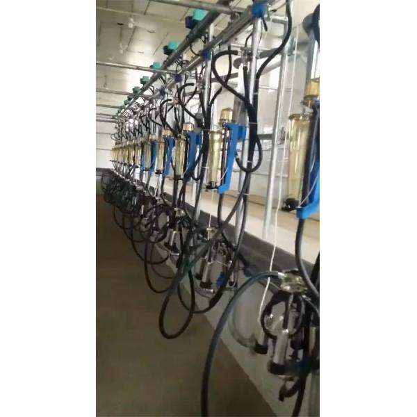 HL-G02 2x16 Коровая сельдерея доильный салон с 33KG Вайкато молока поток счетчик