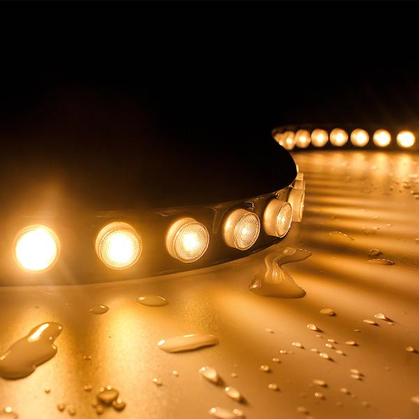 IP67 SMD2835 42pcs Flex Wall Washer Led Strip Light With Lens