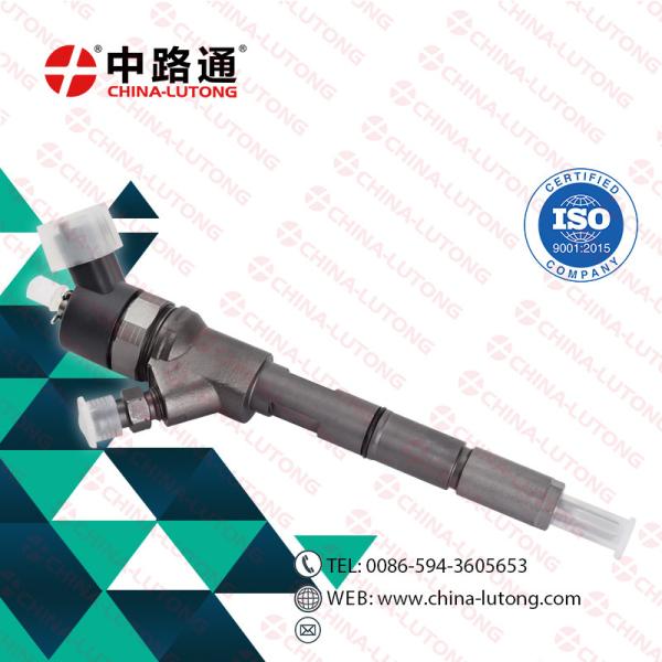 0445110307 for  common rail injector manufacturers 0 445 110 307 Common Rail Injector 5263308