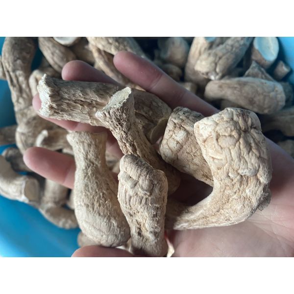 1Kg Dry Stem  Dried  Shiitake Mushroom