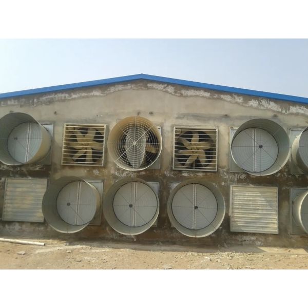 Corrosion Resistant Energy Saving Automatic Feed Poultry Ventilation System for Chicken House