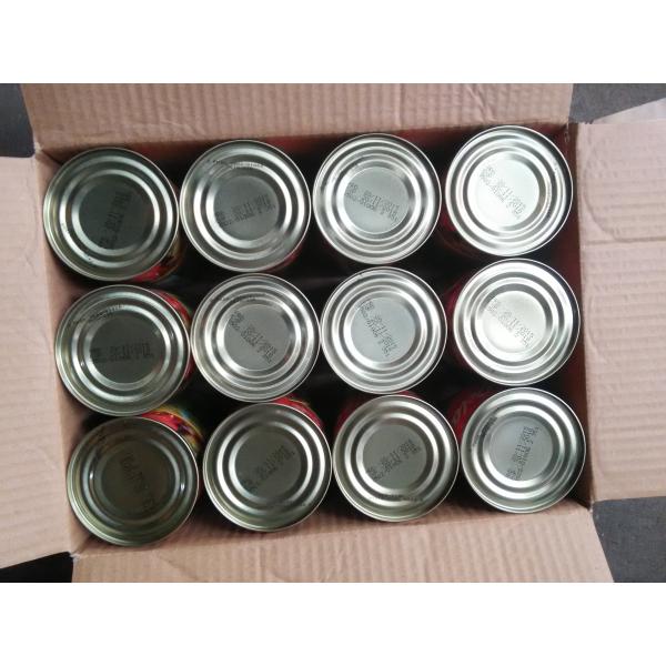 Pacific Mackerel Fish Canned Food In Hot Chili Tomato Sauce ISO Certified