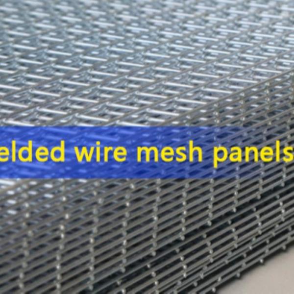 Anti-Rust Hot Dipped Galvanized Welded Wire Mesh Panels with PVC Coating for Fencing and Construction