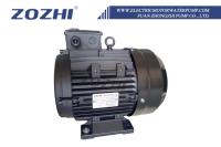 7.5kw 10HP Hollow Shaft High Pressure Pump Motor For Italy High Pressure Plunger Pump