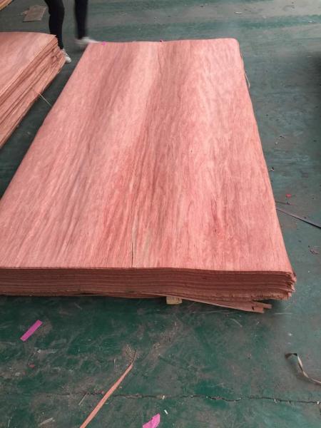 Bintangor veneer
