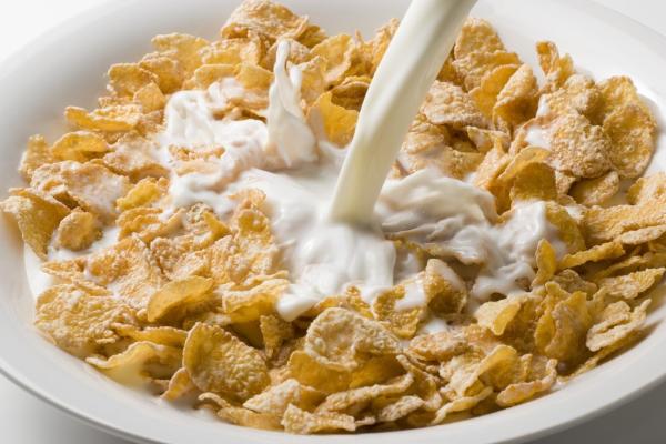 High Efficiency Corn Flakes Production Line 240-320 Kg/H Output No Pollution