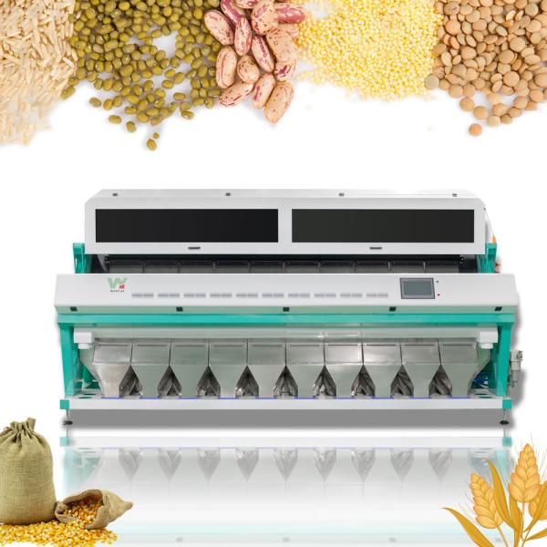 Soya Bean Color Sorter High Output For Grain Rice Nuts Rice