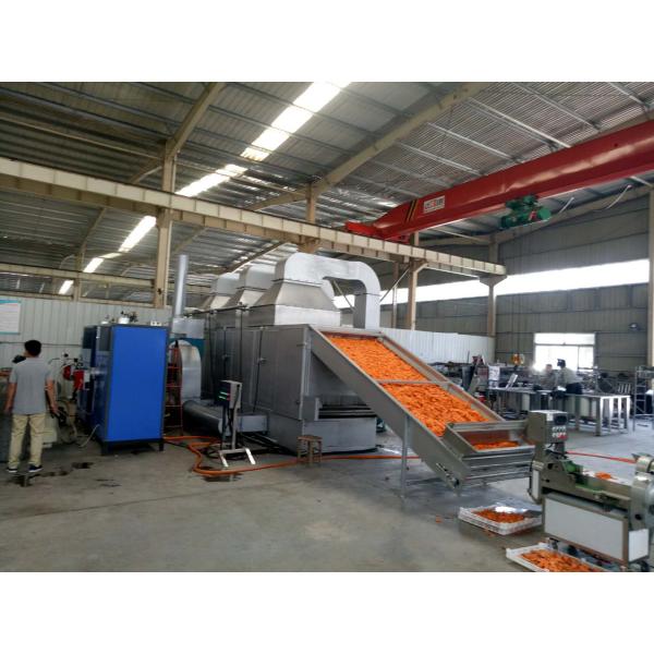 Red Date Food DW / DWC Belt Continuous Dryer Large Output