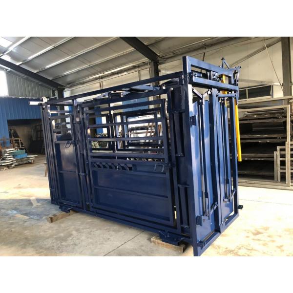 Blue Colour Painting Australia Standard Vet Cattle Crush Painting